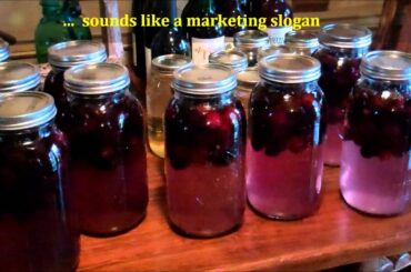 How To Make Easy Homemade Wine ~ (Making Blackberry Wine)