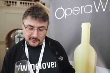 OperaWine 2015 | Interview - Luiz Alberto - Italian Wine Ambassador