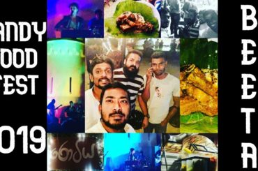 KANDY FOOD FESTIVAL 2019 #STREETFOODS #Kandy #Yohani