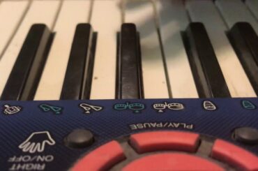 Female Dog Italian Food On A Keyboard