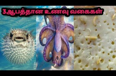 3ஆபத்தான உணவு வகைகள்|dangerous food in tamil/poisons food/Tamil info
