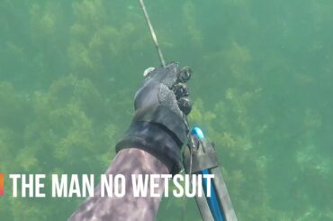 KAIKOURA SPEARFISHING CATCH AND COOK