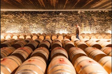 Discover my Italy in Piedmont