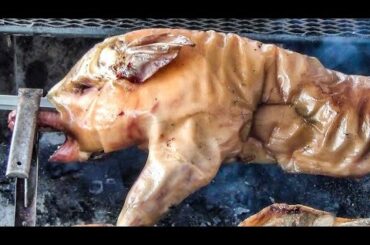 Small Pigs Roasted, Tried and Tasted in Italy. World Street Food