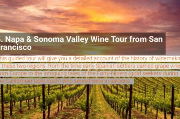 Swiss Louis Italian & Seafood Restaurant - Best Tours In SF