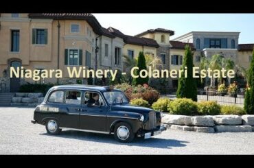 Niagara Wineries - Colaneri Estate Winery  #niagara