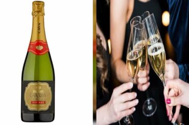 Best cava wines including top brands you can buy at the supermarket - The News