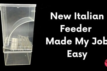New Italian Feeder Made My Job Easy