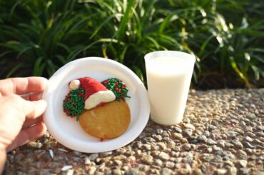 New Years Eve Prep At Epcot And Completing The Holiday Cookie Stroll!