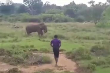 Live Leak Compilation #1 Januari 2019