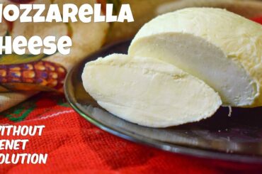 How to make Mozzarella Cheese at home | Homemade Mozzarella Cheese recipe by Cook With Us