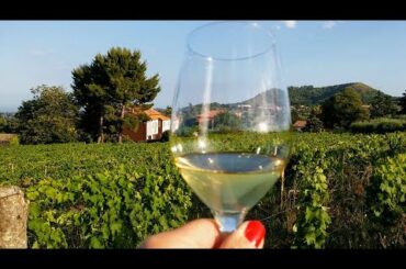 Typical Fall Sunday in Sicily: You, Me & Sicily Episode 51