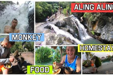 Водопад ALING ALING, HOMESTAY за 180 рублей, Итальянская Кухня и Обезьяны на острове Бали