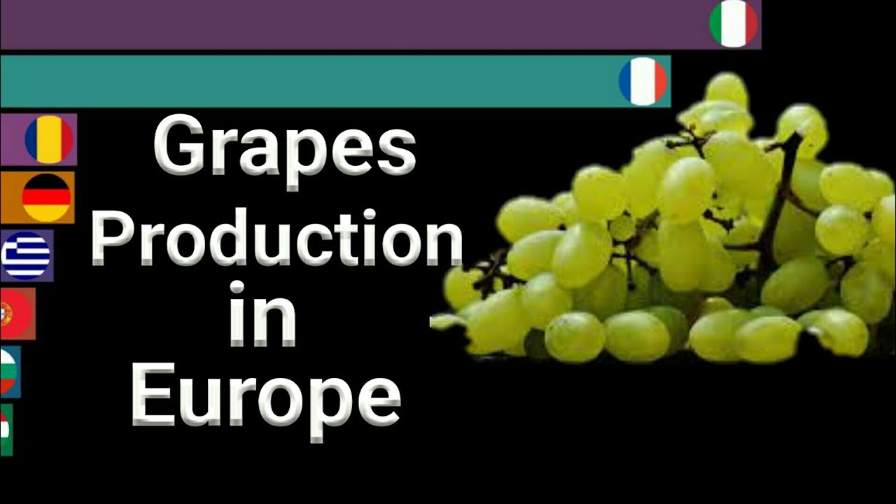 | Grapes Production In Europe | | Grapes Producing Countries | | Grapes | | Grapes Production In Europe | | Grapes Producing Countries | | Grapes |