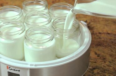 How to Use the Euro-Cuisine Automatic Yogurt Maker | Williams-Sonoma