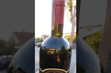 Brunello di Montalcino Gianfranco Soldera 1980 - Wine level test!