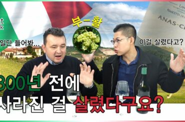 잊혀진 300년 전 토착품종을 부활시킨 이유, 피에몬테 와인메이커 인터뷰 | Anas-Cetta, Elvio Cogno, Nascetta [인터뷰 #5]
