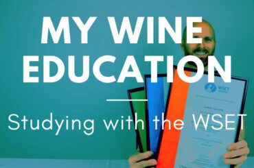 My Wine Education - Studying with the WSET