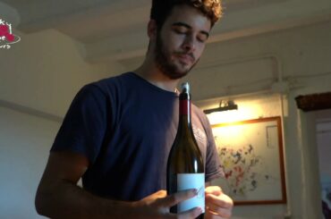 Grape Tours: Elite Classico Grand Cru wine tour