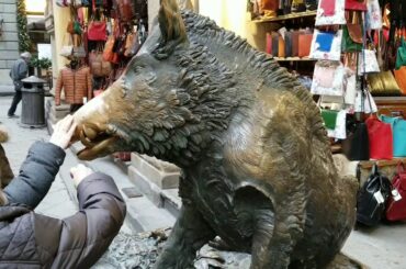 Florence, Italy (winter) in Full HD