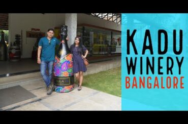 Things to do in Bangalore | Kadu Winery Tour with Friends | Bangalore Vlog