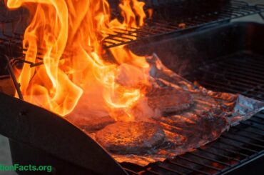 Diet and Climate Change: Cooking Up a Storm