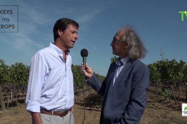 ITALY - Fabio Ratto / Head Agronomist of Antinori Winery