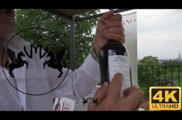 🍷Italian superior wine - FREISA DI CHIERI DOC SUPERIORE - VIGNA VILLA DELLA REGINA