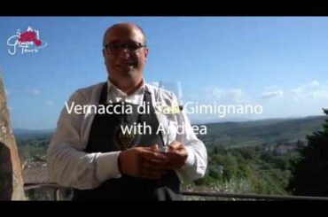 Grape INSIDERS: Vernaccia di San Gimignano