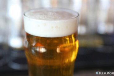 What the Ale: Beer of the Week, Elgin Park's Italian Stallion Pilsner