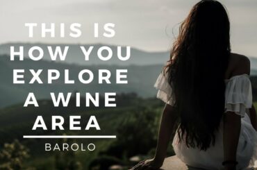 WE DID A WINE TRAVEL TO BAROLO. AND THIS HAPPENED!