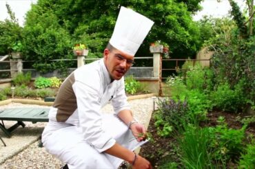 Luxury Gold Dining | AffordableTours.com | Insight Vacations