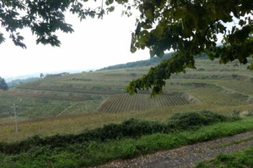 Travelling the backroads of Sicily in 4K