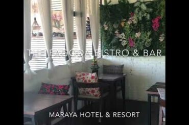 Spaghetti Cabonara at The Pagoda Bistro & Bar, Maraya Hotel & Resort Chiang Mai