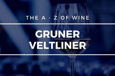 What is GRUNER VELTLINER? - The A-Z of Wine
