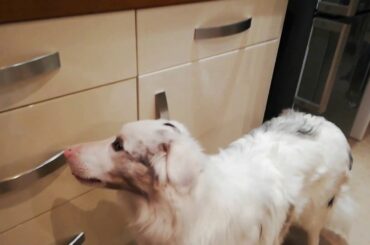 Italian cuisine/Итальянская кухня