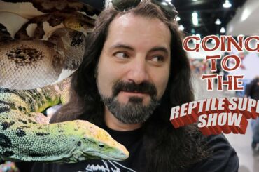 Going to the Reptile Super Show and Prehistoric Pets after party! - Dāv Kaufman Vlogs