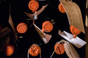 Tips and tricks for wine lovers