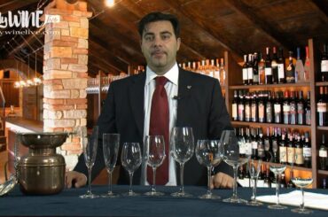 Which glass for which wine?