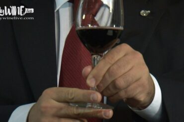 How to hold a wine glass
