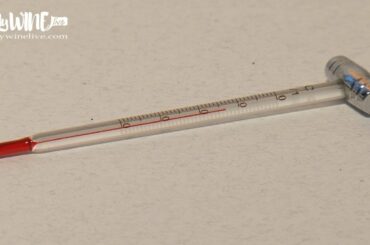 Wine serving temperature