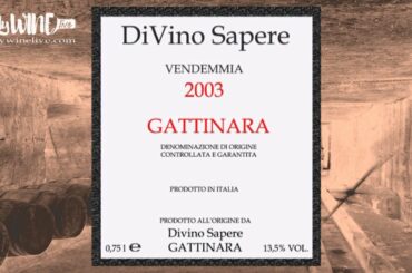 How to read the label on a bottle of wine