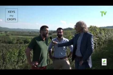 ITALY -Filippo Furlani - MARENCO Vineyards & Winery