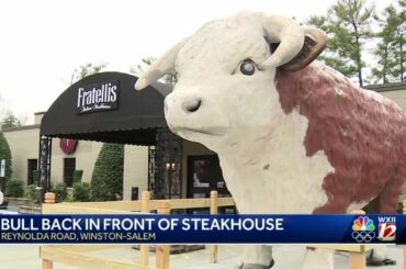 Replica of iconic bull returns home to popular restaurant on Reynolda Road in Winston-Salem
