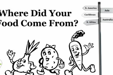 How far did your food travel? (2020)