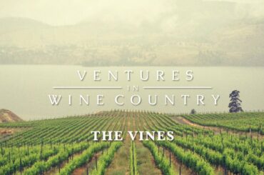 Ventures in Wine Country | Episode 1: The Vines