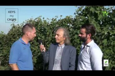 ITALY -VINE NUTRITION GUIDE (Keys My Crops Project)