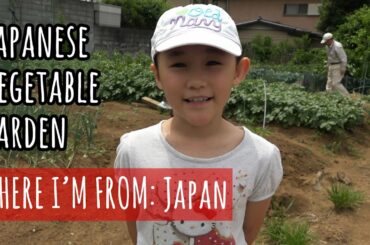 A Visit to a Japanese Vegetable Garden