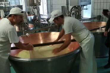 CONATURE 2nd LTTA held in Scandiano region, Italy