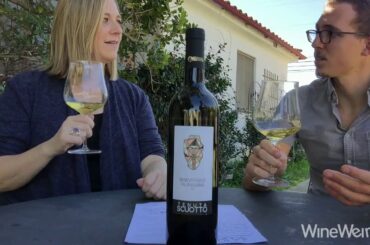 2016 Tenuta Scuotto Beneventano Falanghina Shiverick Imports Campania Italy White Wine